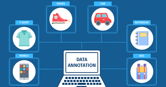 Annotation Process